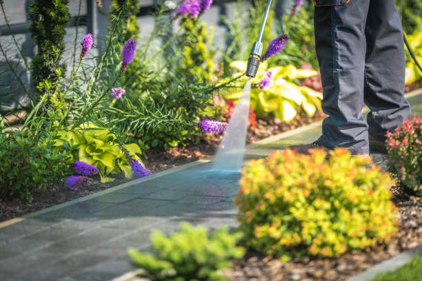 Best Fence Cleaning  in Oakland Park, FL